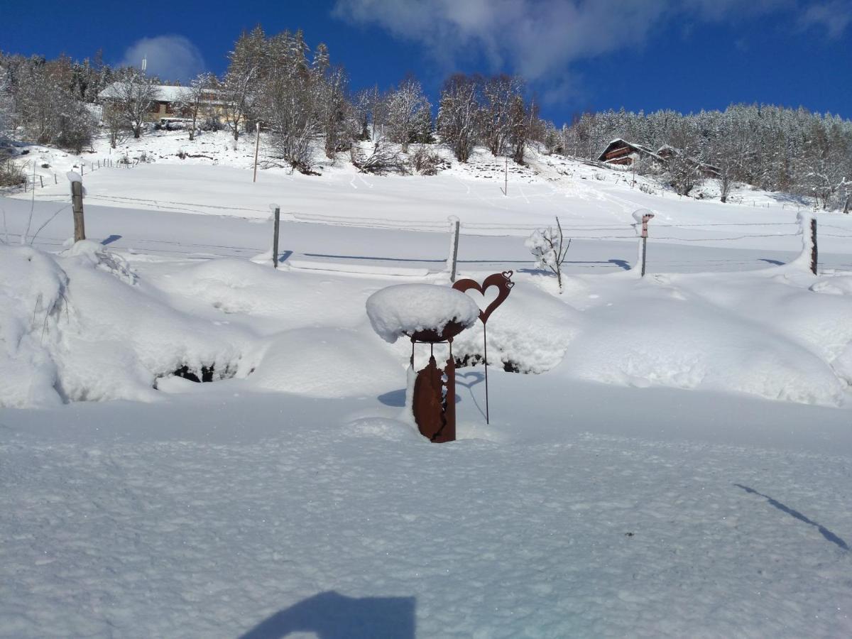 Ferienhaus Gstoderblick Seebach  Exterior foto