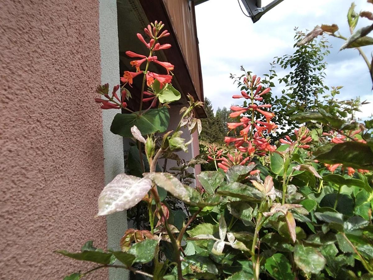 Ferienhaus Gstoderblick Seebach  Exterior foto